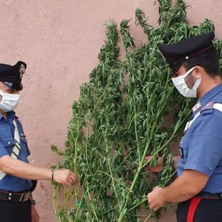 Armi e droga nel Crotonese, controlli a tappeto dei carabinieri: un arresto e una denuncia