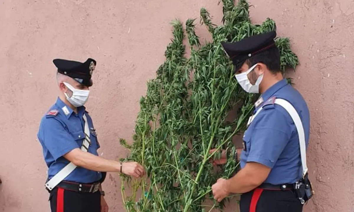 Armi e droga nel Crotonese, controlli a tappeto dei carabinieri: un arresto e una denuncia