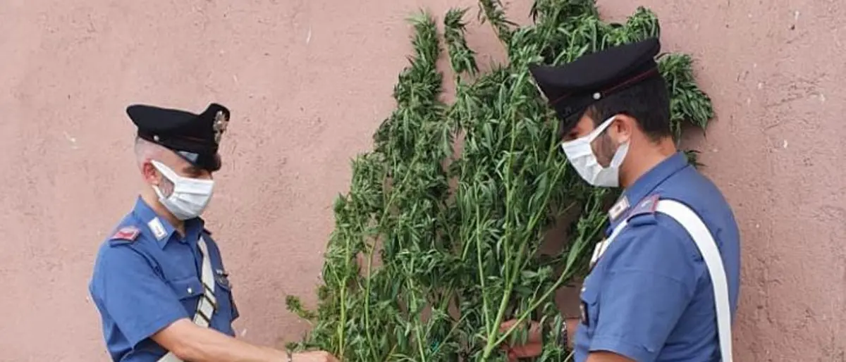 Armi e droga nel Crotonese, controlli a tappeto dei carabinieri: un arresto e una denuncia