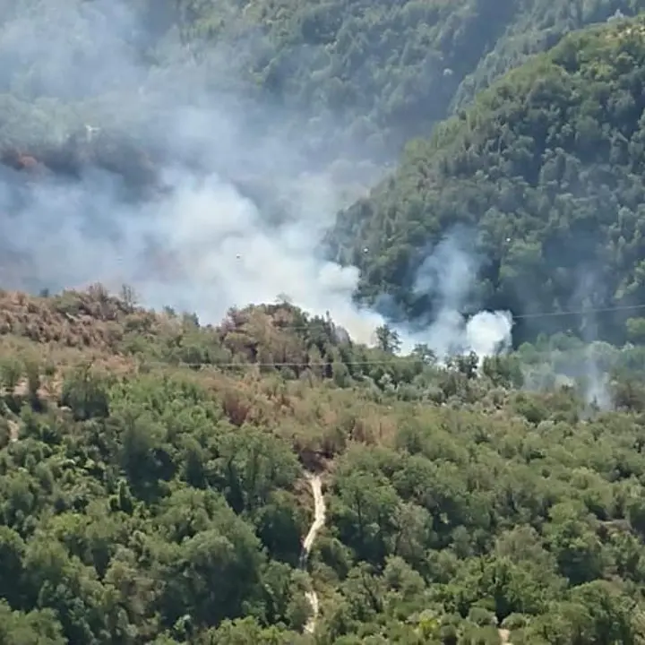 Acri, gravemente ustionato in un incendio divampato nel suo terreno: muore un 56enne