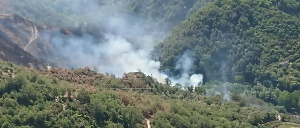 Acri, gravemente ustionato in un incendio divampato nel suo terreno: muore un 56enne