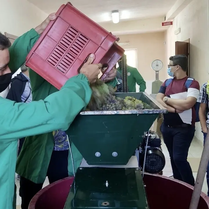 San Giovanni in Fiore, all’Agrario l’anno scolastico inizia fra i vigneti