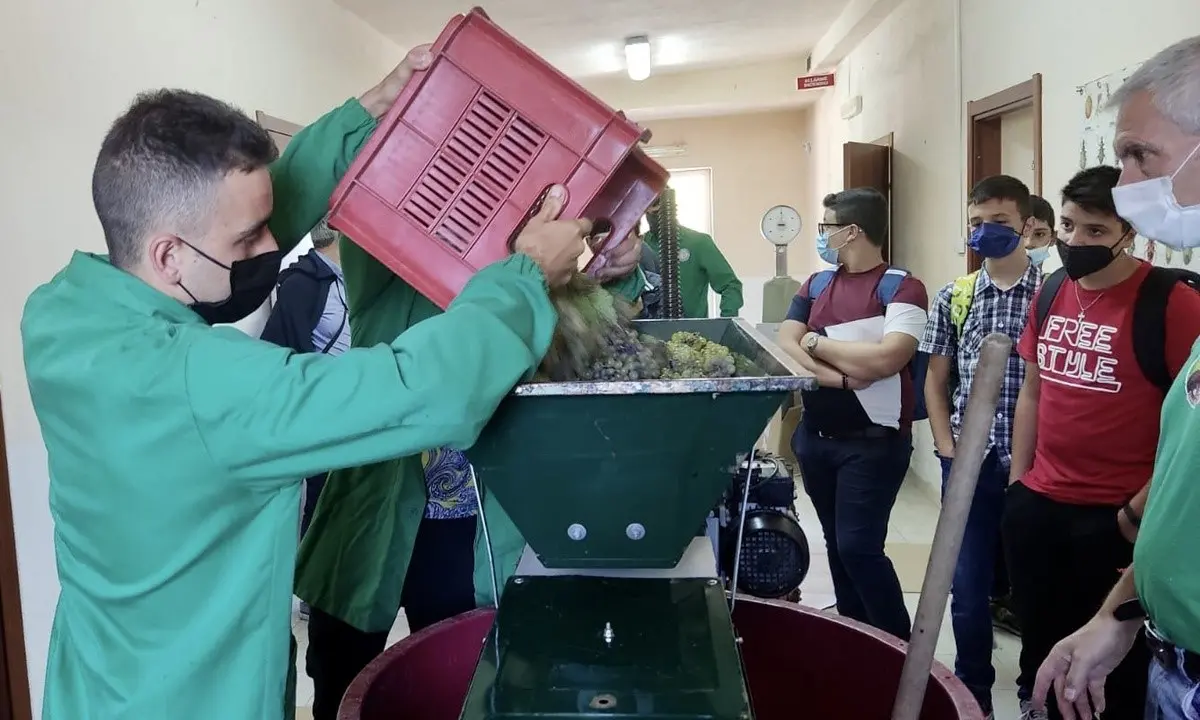 San Giovanni in Fiore, all’Agrario l’anno scolastico inizia fra i vigneti