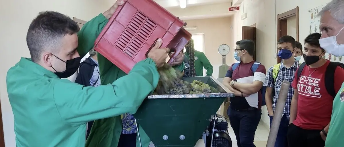 San Giovanni in Fiore, all’Agrario l’anno scolastico inizia fra i vigneti