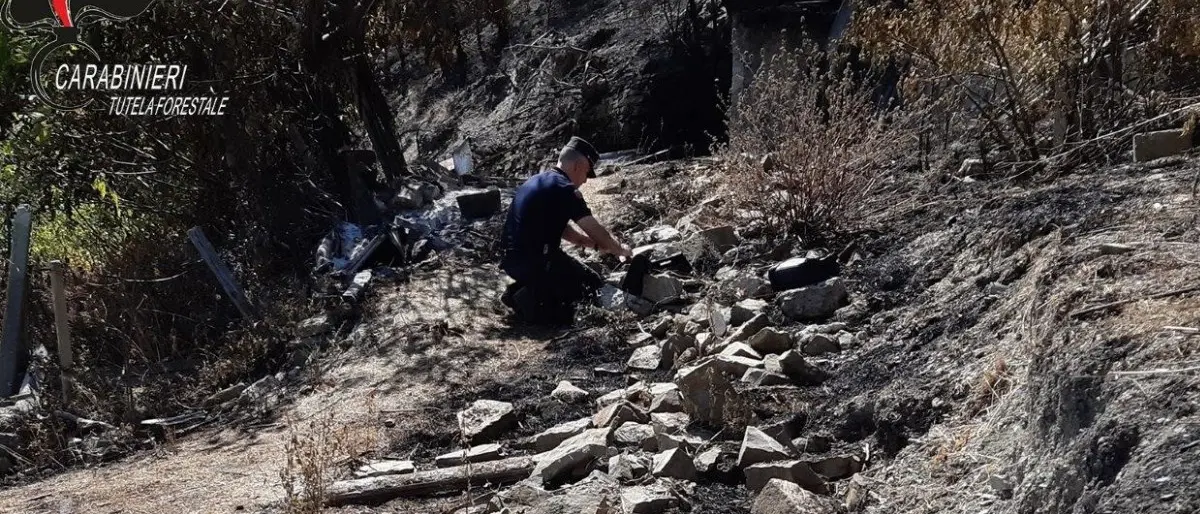 Appiccò un incendio ad Albidona, individuato e denunciato un 30enne