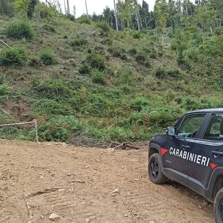 San Fili, sequestrata strada abusiva realizzata per l’esbosco: due denunce