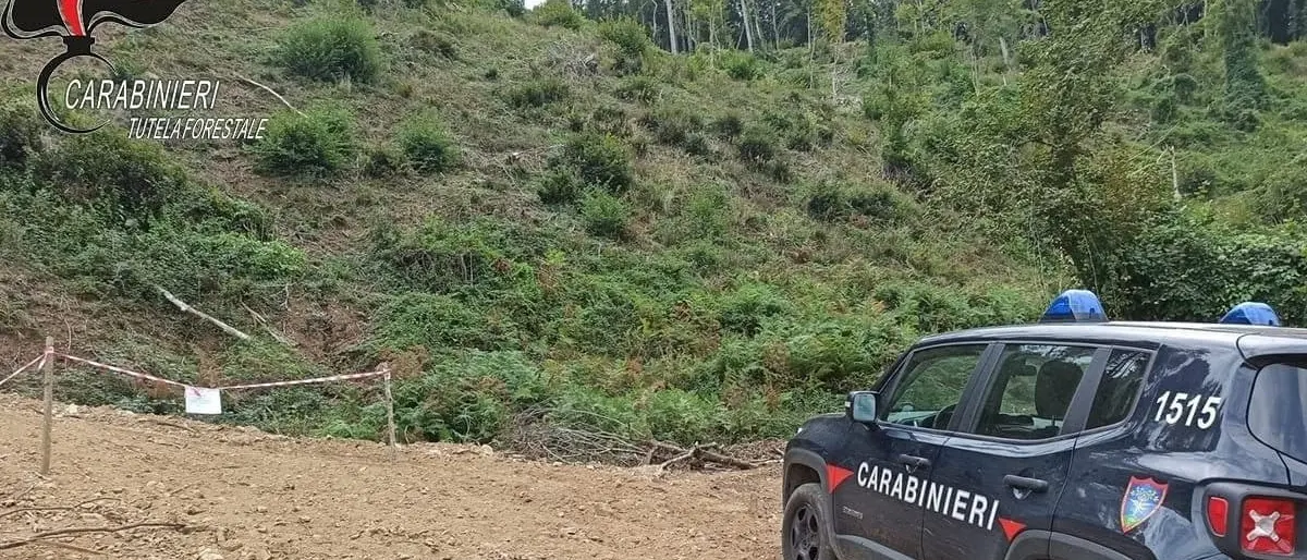 San Fili, sequestrata strada abusiva realizzata per l’esbosco: due denunce
