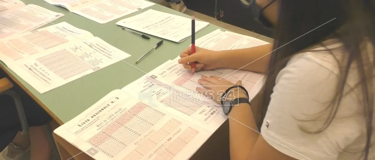 Elezioni comunali, i sindaci eletti nel Tirreno cosentino: nomi e percentuali