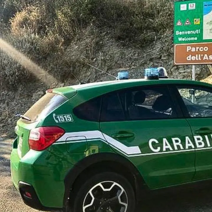 Caccia illegalmente nel Parco d’Aspromonte: la Forestale denuncia un 35enne