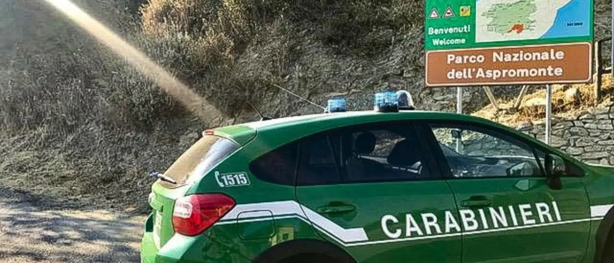 Caccia illegalmente nel Parco d’Aspromonte: la Forestale denuncia un 35enne