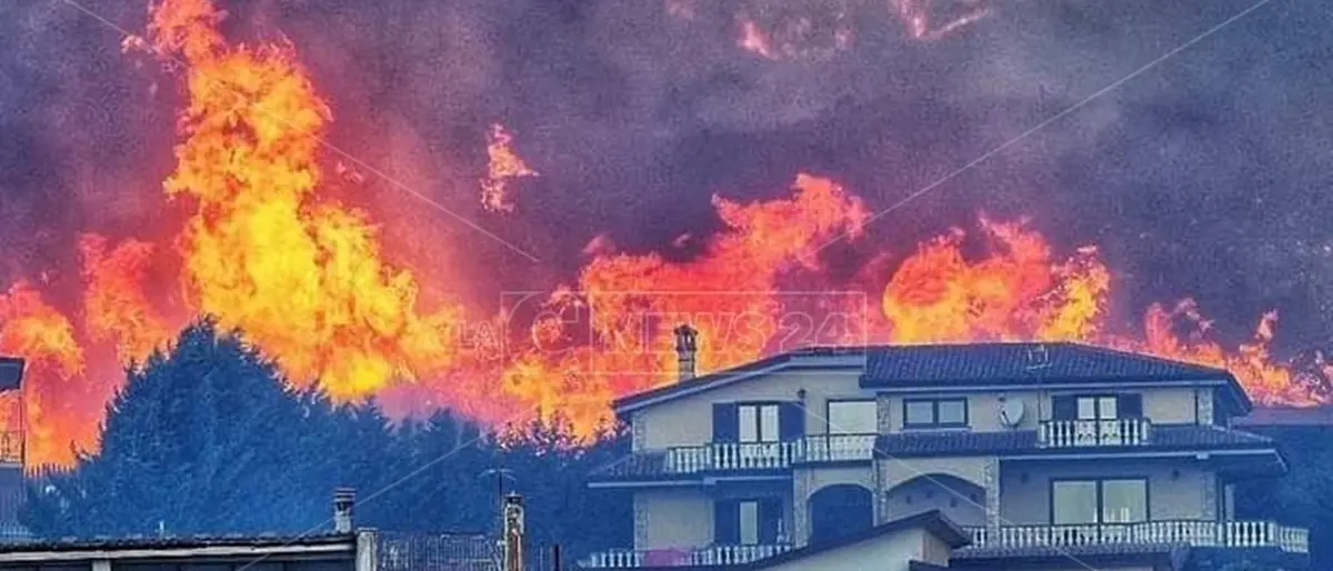 Incendi, agricoltori danneggiati e beffati: disponibili 2 mln di euro ma manca il piano della Regione