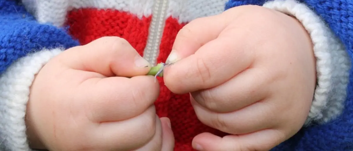 Crotone, il Comune si dota di un albo di baby sitter