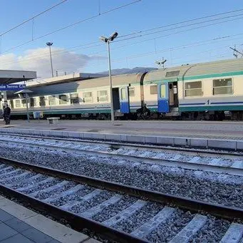 Lamezia Terme, poliziotti aggrediti e feriti su un treno: un arresto