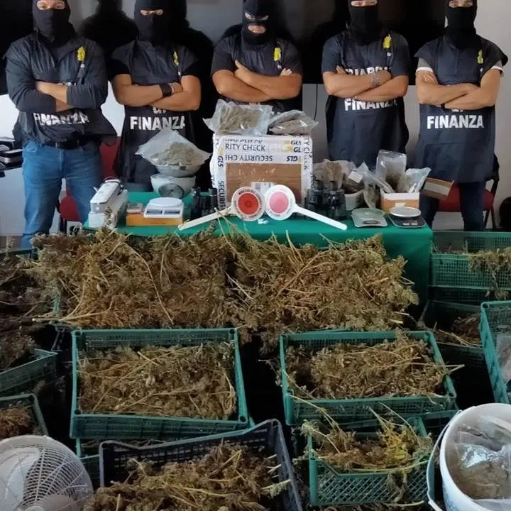 Crotone, avevano allestito in casa un laboratorio per la lavorazione della marijuana: due arresti