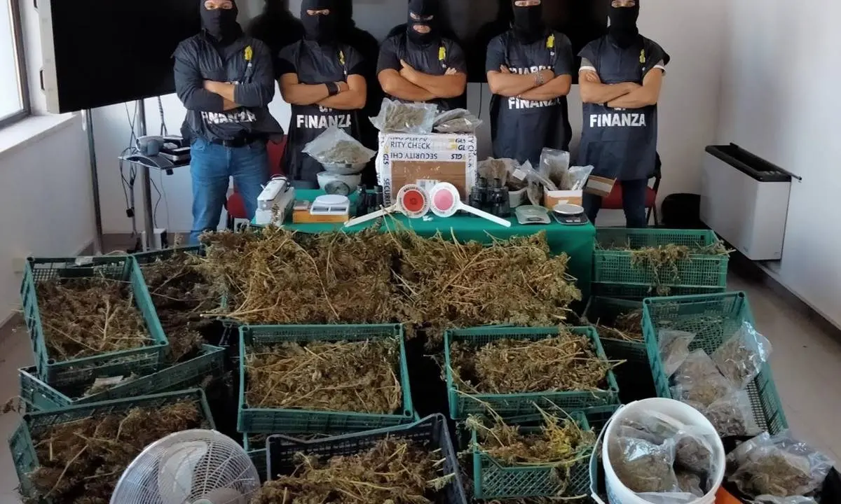Crotone, avevano allestito in casa un laboratorio per la lavorazione della marijuana: due arresti