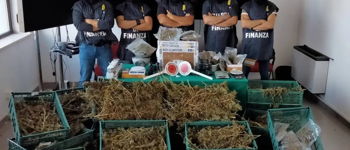 Crotone, avevano allestito in casa un laboratorio per la lavorazione della marijuana: due arresti
