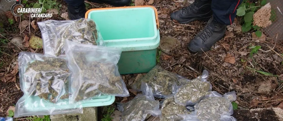 Platania, aveva oltre un chilo di marijuana e munizioni in casa: arrestato