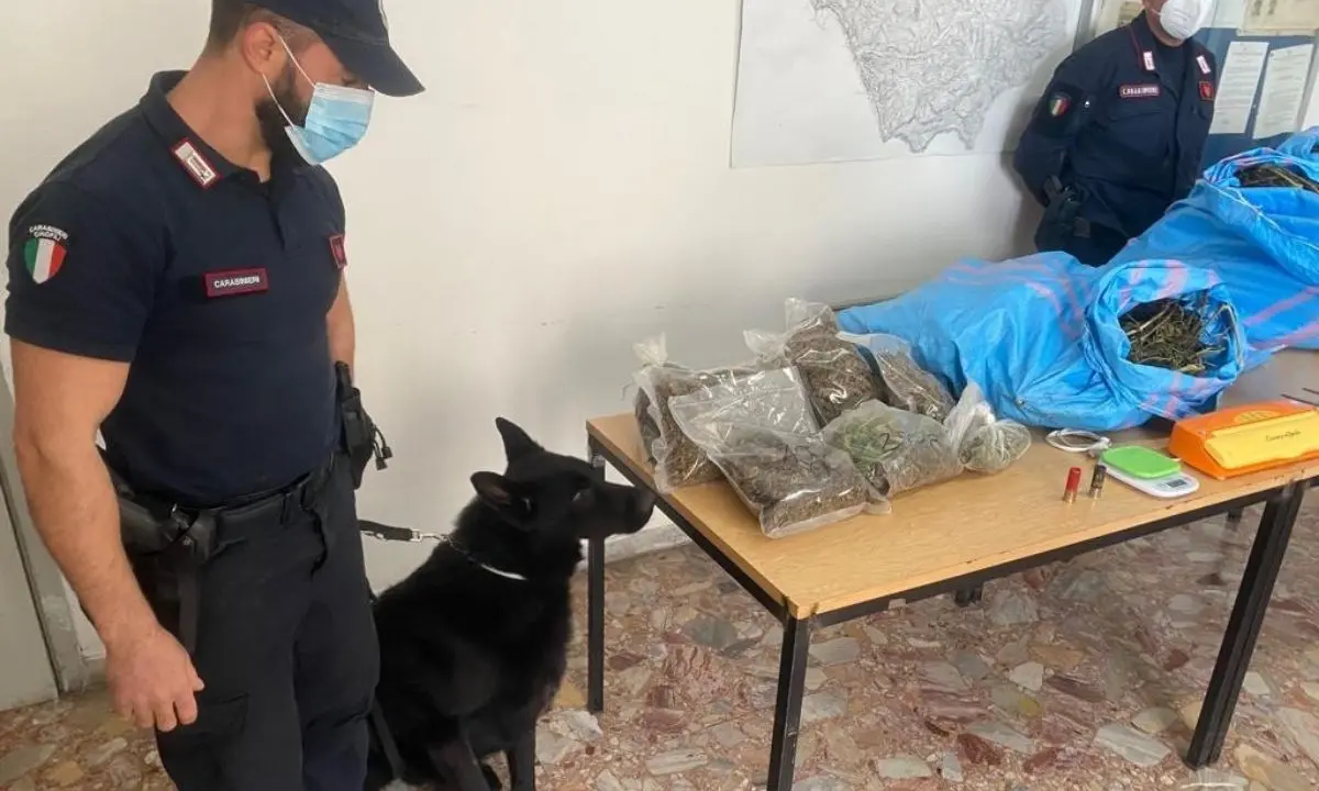 Cetraro, rivenuti 11 chili di marijuana all'interno di un magazzino: due arresti