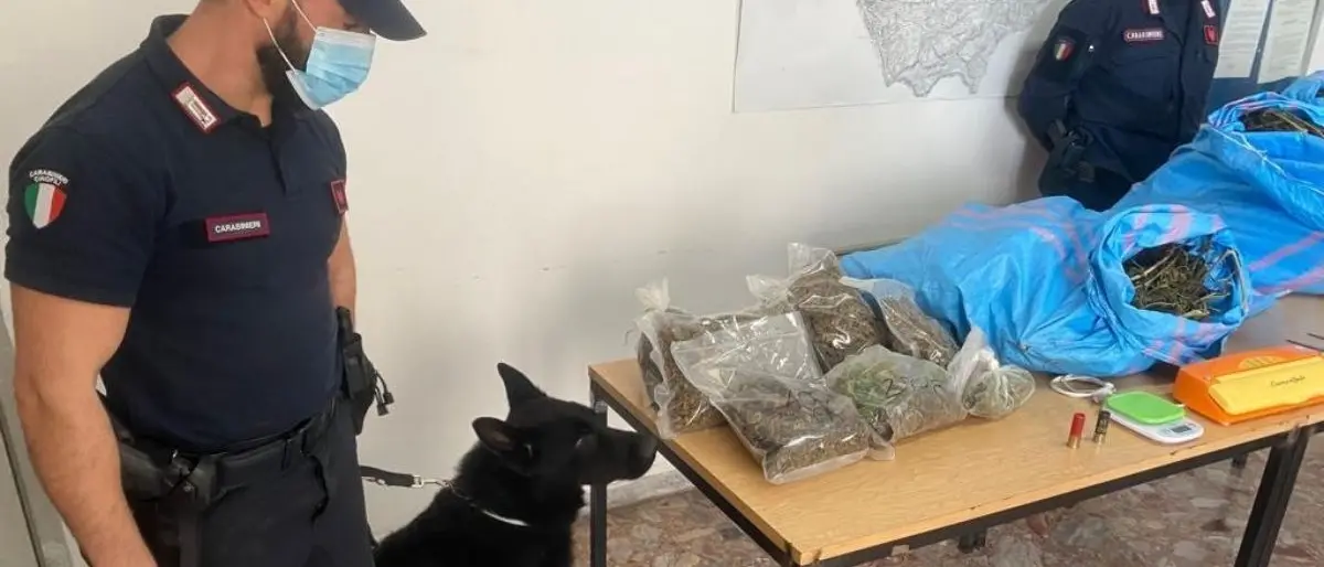Cetraro, rivenuti 11 chili di marijuana all'interno di un magazzino: due arresti