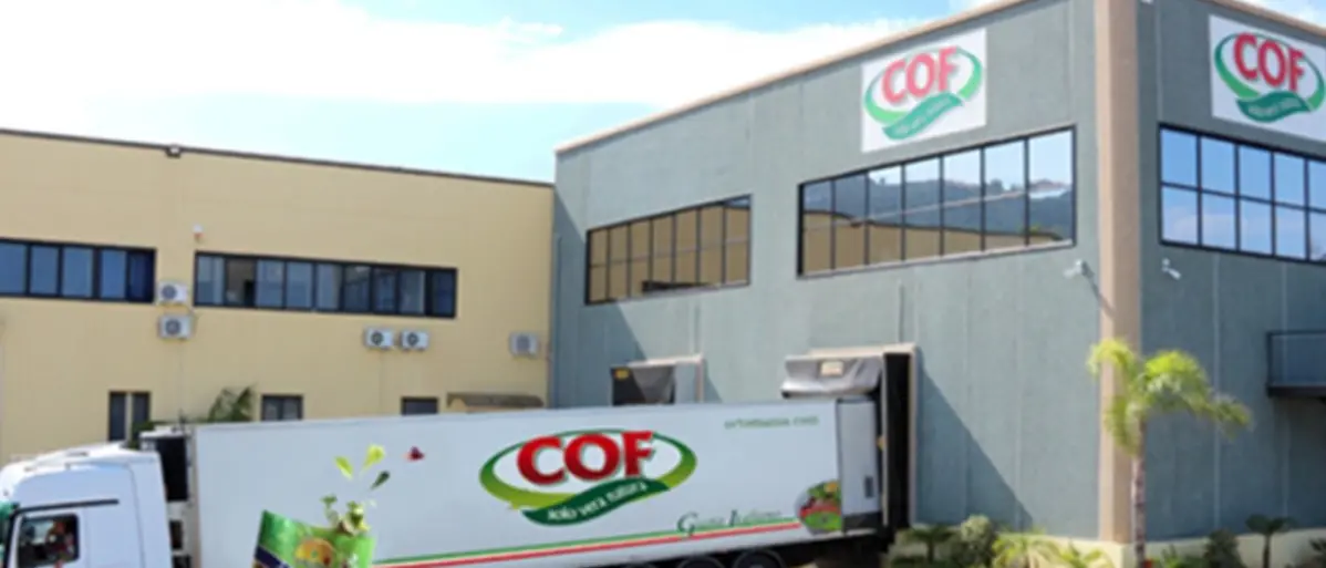 Fallita la Cof Spa, fine della corsa per la grande azienda vibonese messa in ginocchio dalla pandemia