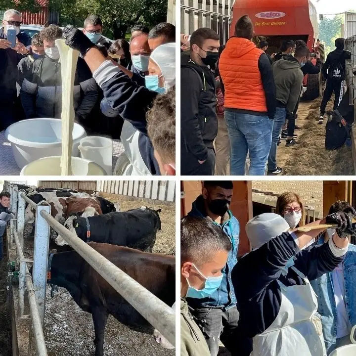 San Giovanni in Fiore, la scuola riparte dal territorio: alberghiero e agrario nelle imprese agroalimentari