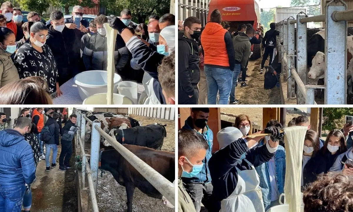 San Giovanni in Fiore, la scuola riparte dal territorio: alberghiero e agrario nelle imprese agroalimentari