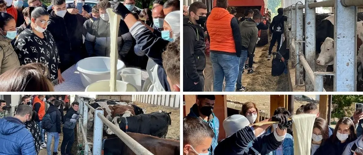 San Giovanni in Fiore, la scuola riparte dal territorio: alberghiero e agrario nelle imprese agroalimentari