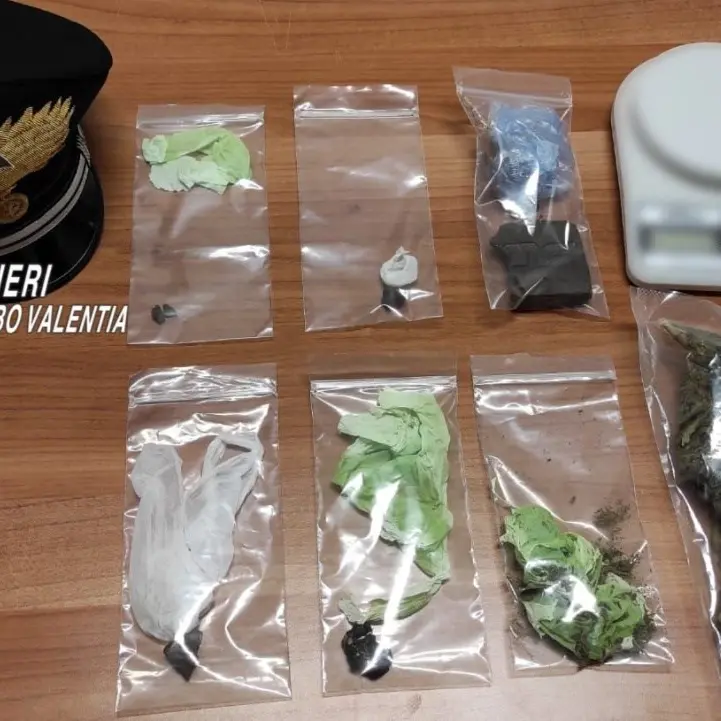 Droga nascosta in casa, due persone arrestate nel Vibonese