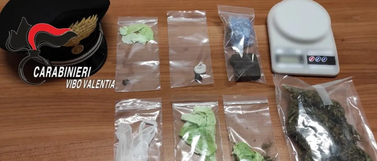 Droga nascosta in casa, due persone arrestate nel Vibonese