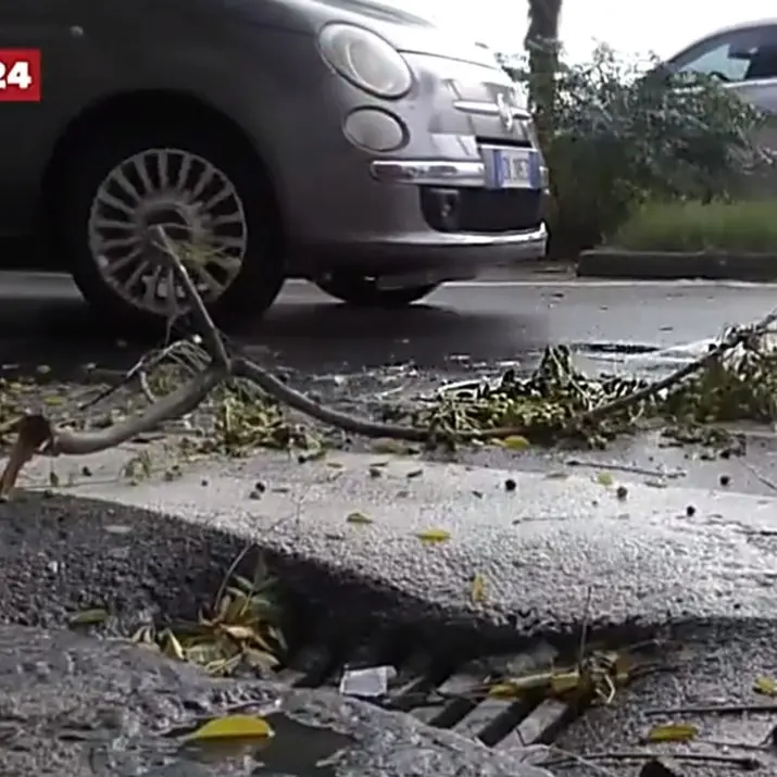 Maltempo, in Calabria forti piogge e venti di burrasca: altra giornata di allerta e scuole chiuse - LIVE