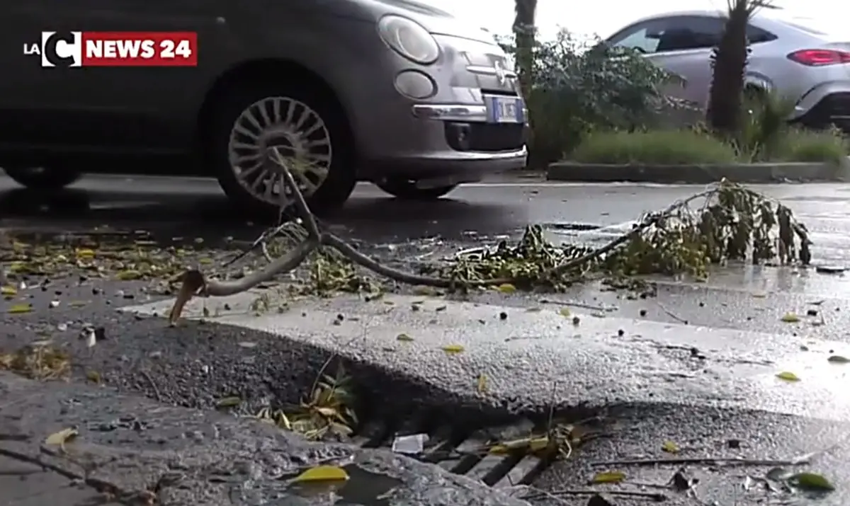 Maltempo, in Calabria forti piogge e venti di burrasca: altra giornata di allerta e scuole chiuse - LIVE