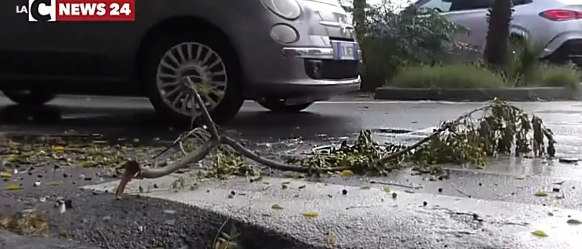 Maltempo, in Calabria forti piogge e venti di burrasca: altra giornata di allerta e scuole chiuse - LIVE