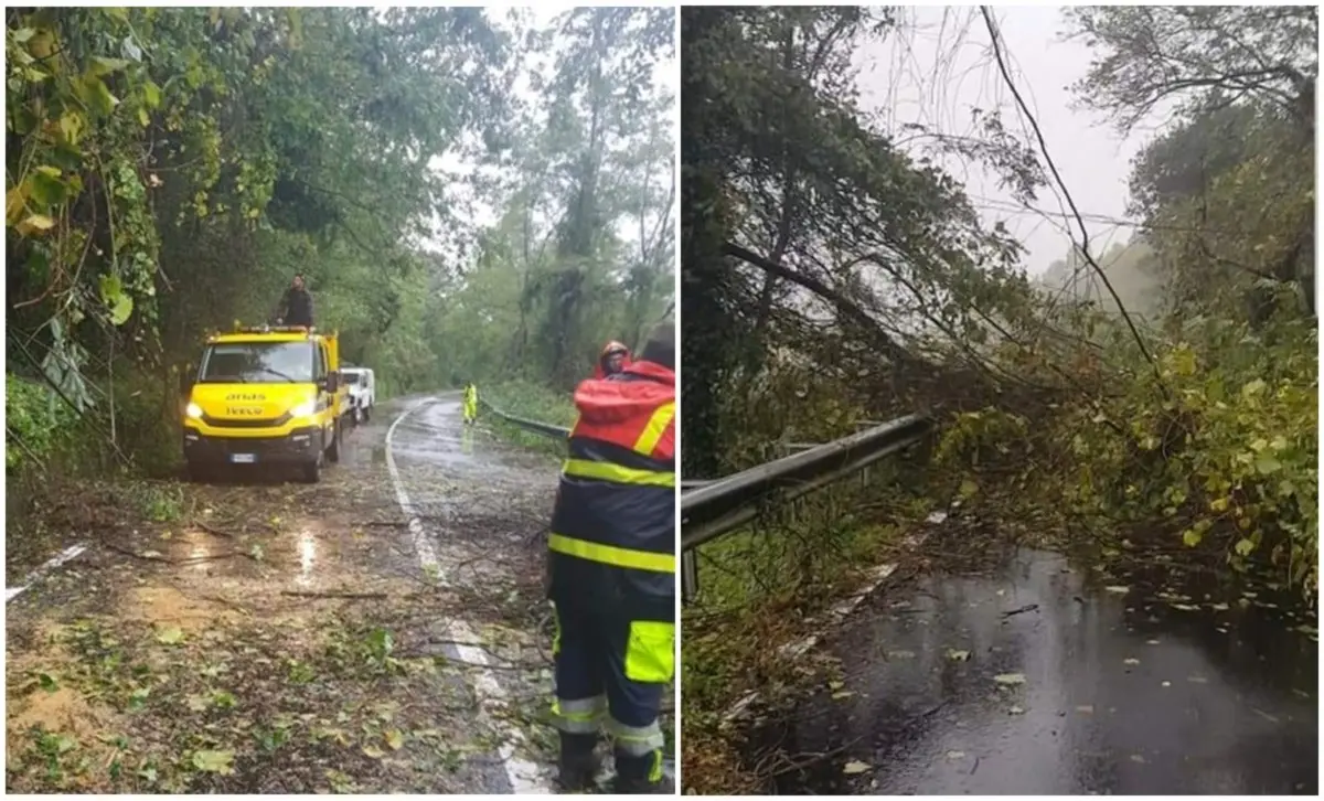 Maltempo, il prefetto di Vibo scrive ai sindaci: «Massima attenzione al peggioramento in arrivo»