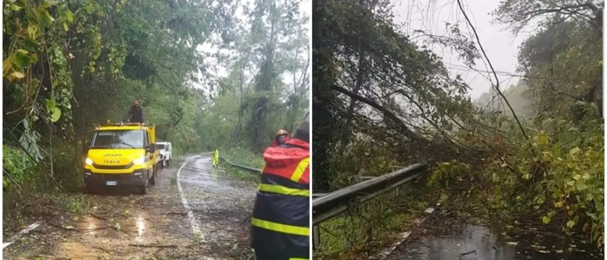 Maltempo, il prefetto di Vibo scrive ai sindaci: «Massima attenzione al peggioramento in arrivo»