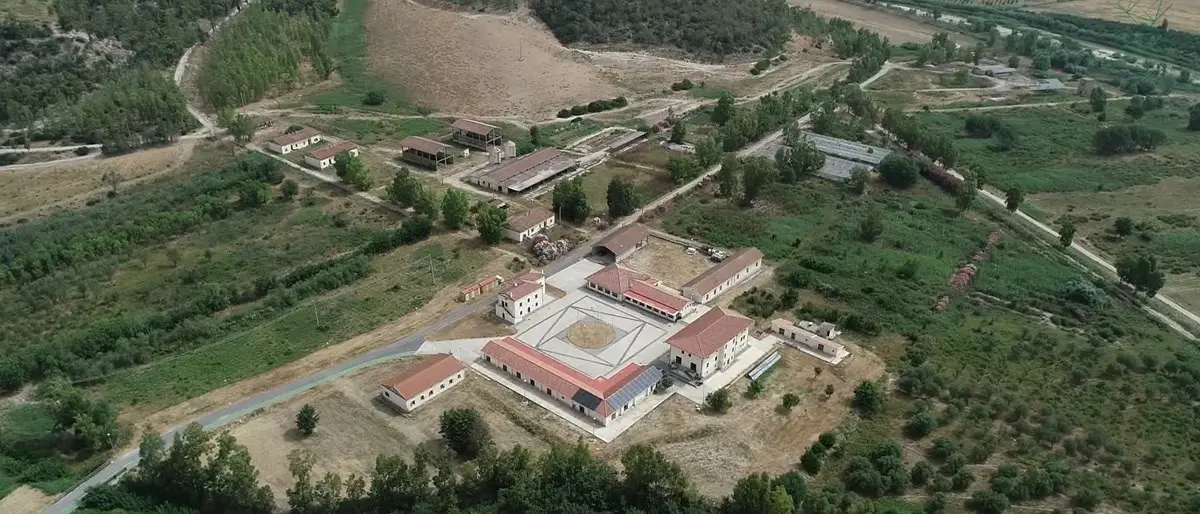 Il futuro è green: nasce in Calabria il centro di ricerca per l’innovazione rurale Crisea