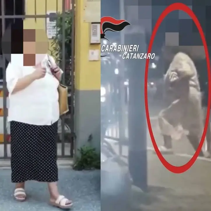Catanzaro, annullato sequestro a 74enne accusata di essere una falsa cieca. I giudici: «Gesti abitudinari»