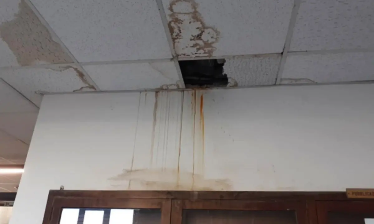 Reggio, infiltrazioni d’acqua in Comune: il soffitto dell’ufficio Anagrafe cade a pezzi