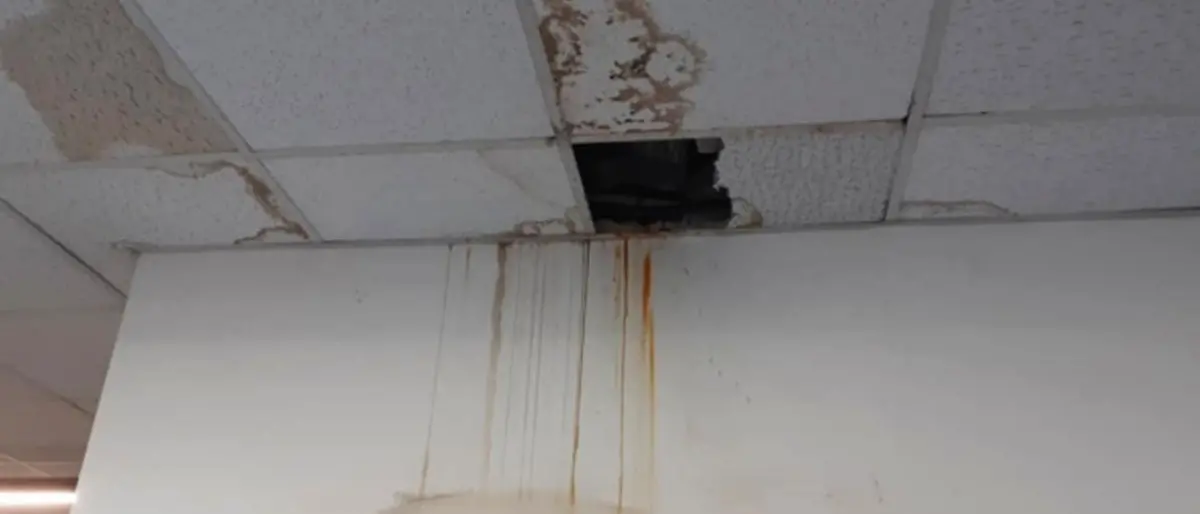 Reggio, infiltrazioni d’acqua in Comune: il soffitto dell’ufficio Anagrafe cade a pezzi