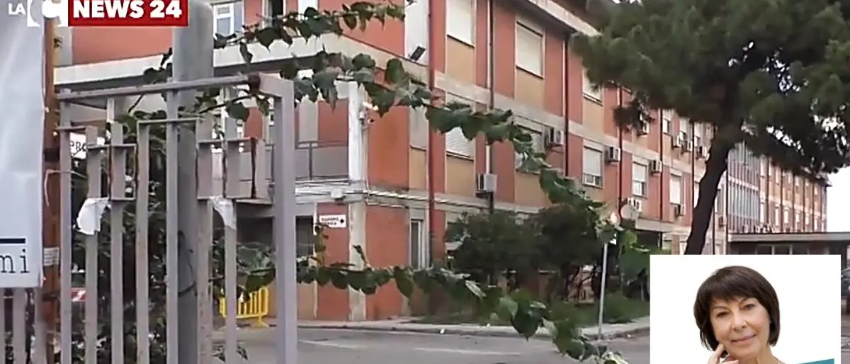 Pronto soccorso Gioia Tauro chiuso e poi riaperto, Amalia Bruni: «Come una pizzeria. Non si può andare avanti così»