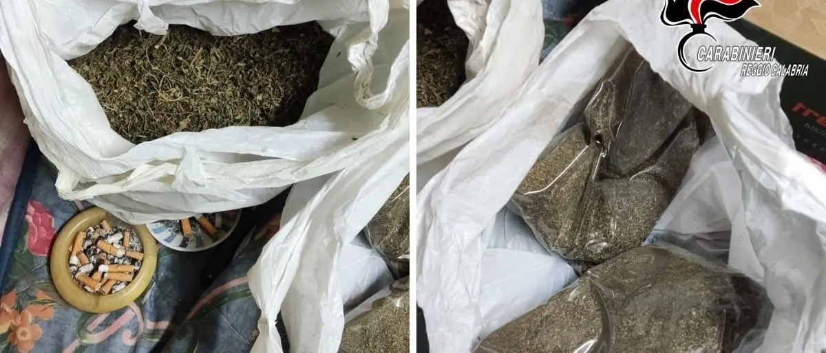 Nascondeva in una stalla 760 grammi di marijuana: arrestato 65enne nel Reggino