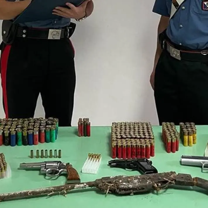 Armi, munizioni e venti ghiri ammassati in una gabbia: arrestato 58enne nel Reggino