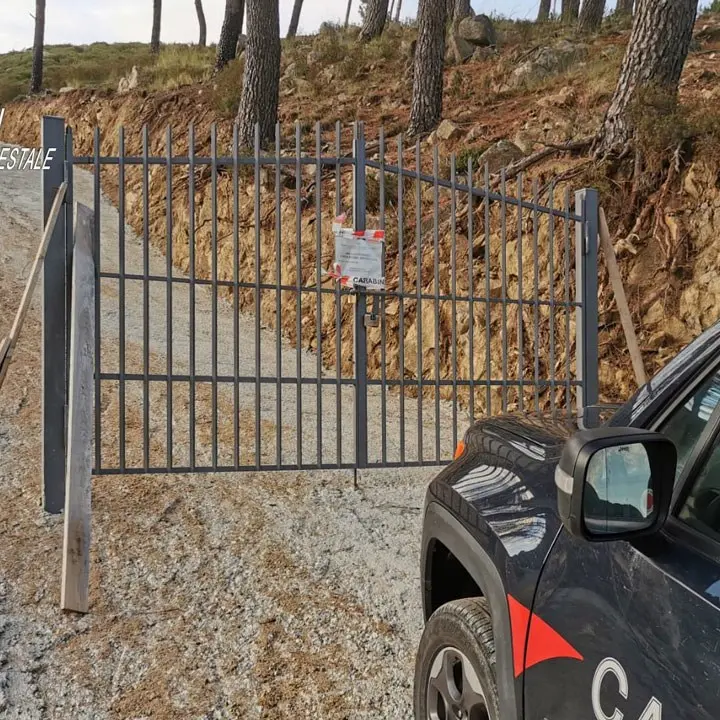 Distrugge bosco per realizzare una strada abusiva: una denuncia nel Crotonese