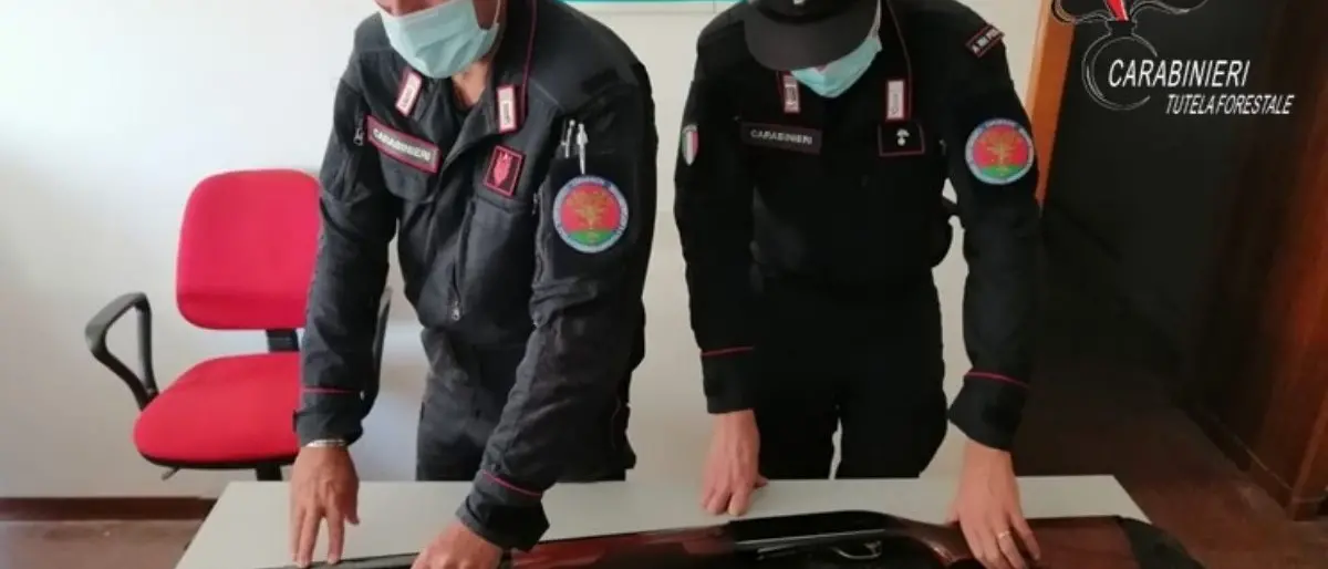 Sequestrati fucili, munizioni e richiami acustici vietati: denunciati 5 cacciatori nel Lametino