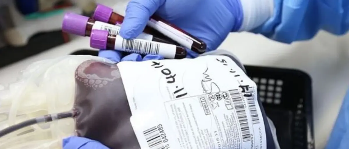 Processo Sangue infetto, assolto dopo 10 anni l’ex primario Marcello Bossio