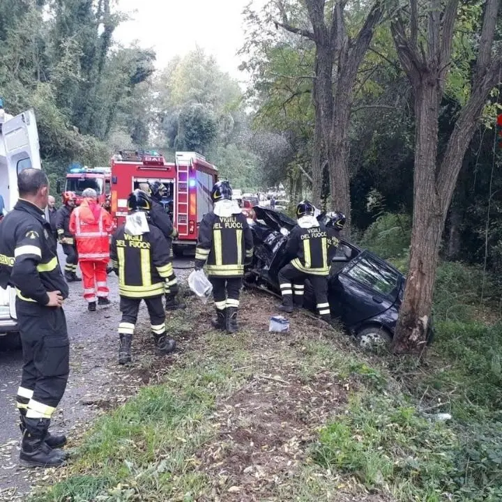 Perde il controllo dell’auto e impatta contro un albero, un ferito nel Vibonese