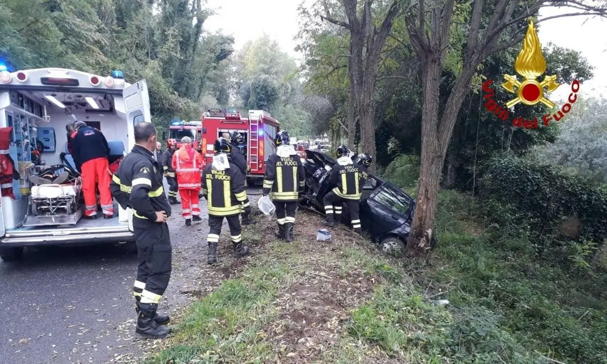 Perde il controllo dell’auto e impatta contro un albero, un ferito nel Vibonese