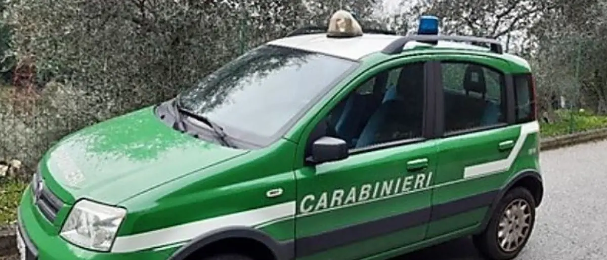 Discarica non autorizzata nel centro raccolta rifiuti, denunciato ex sindaco del Cosentino