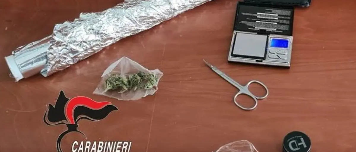 Detenzione e spaccio di droga, un arresto e una denuncia nel Catanzarese