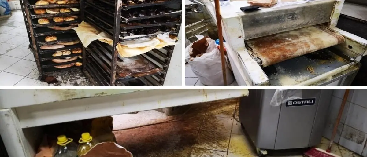 Crotone, precarie condizioni igienico-sanitarie e personale senza Green pass: sanzionato un panificio