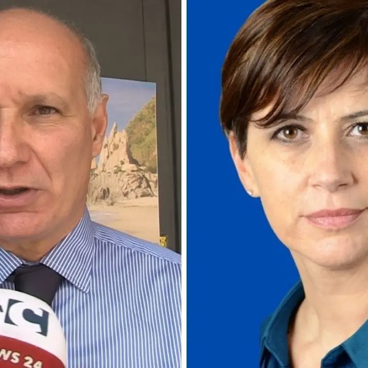 Ineleggibilità di Comito e Fedele: per l’avvocato Torchia c’è fondamento, ecco perché